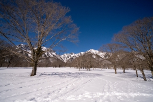 連続ドラマW　ゴールデンカムイ－北海道刺⻘囚⼈争奪編－